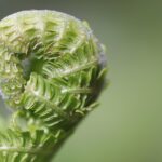 Primavera P6 tips